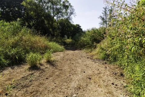 A dried-up riverbed in summer Stock Photos