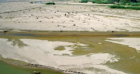 Dried riverbed with the tree stumps, reservoir of the Drava River Stock Footage 145791314
