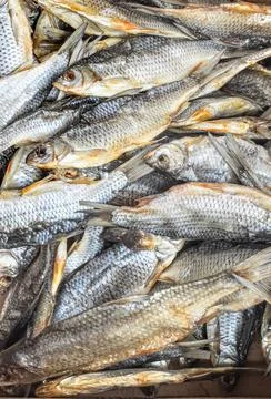 Dried roach fish forming a textured background for seafood cuisine Stock Photos