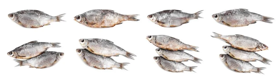 Dried roach fish isolated on white, set. Top view Stock Photos
