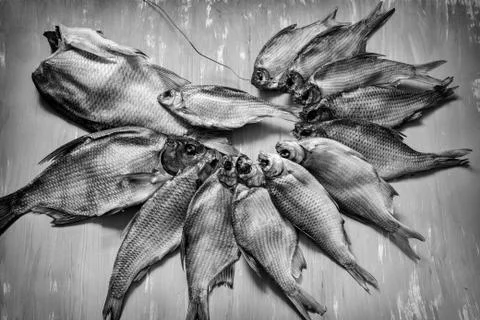 Dried roach lies on the surface of the table. Stock Photos