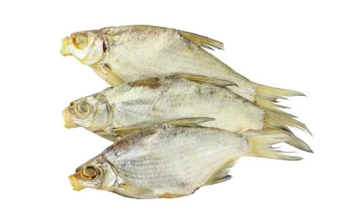 Dried roach Stock Photos