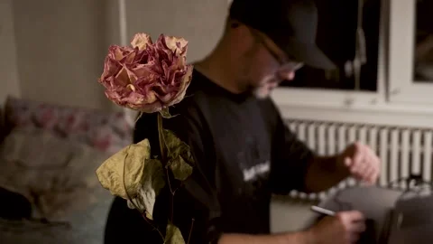 A dried rose and a man 4K Stock Footage 320866231