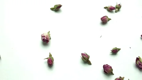 Dried Rose buds Stock-Footage 75002873