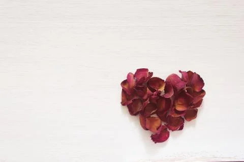 Dried rose heart shape Stock Photos