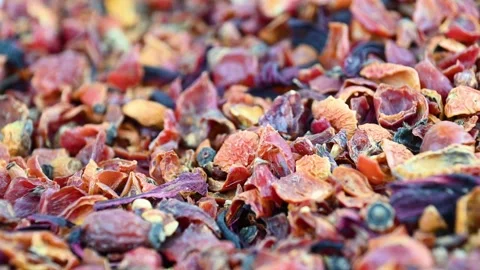 Dried rose hip shells scattered in shallow pile closeup macro Stock Footage 331585447