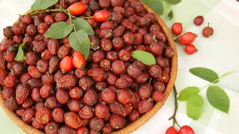 Dried rose hips in a basket. Stock Footage 328694374