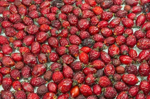 Dried rose hips. close-up Stock Photos