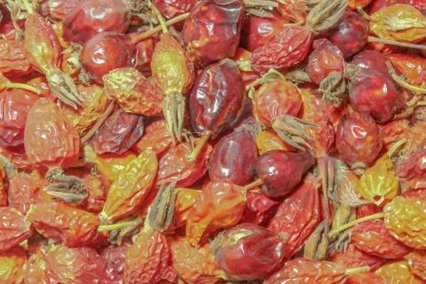 Dried rose hips Stock Photos