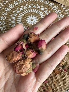 Dried rose petals Stock Photos