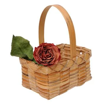 A dried rose Stock Photos