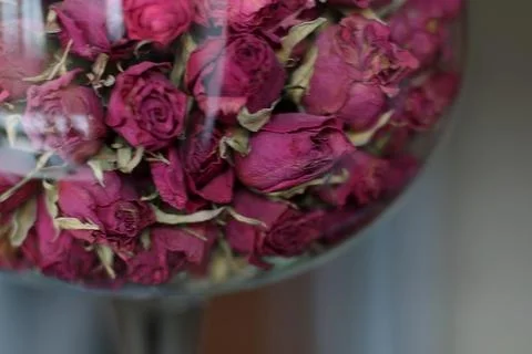 Dried rose Stock Photos