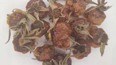 Dried rosehip rotates in a circle Stock Footage 167234245