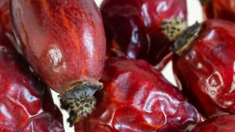Dried rosehips on a white isolated background Stock Footage 302209503