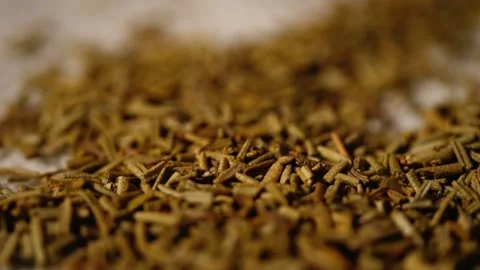 Dried rosemary herb macro Stock Footage 297776367