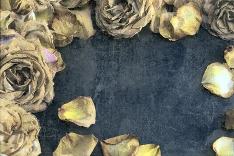 Dried roses with the aged effect Foto stock