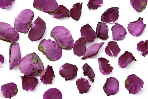 Dried roses background Stock Photos