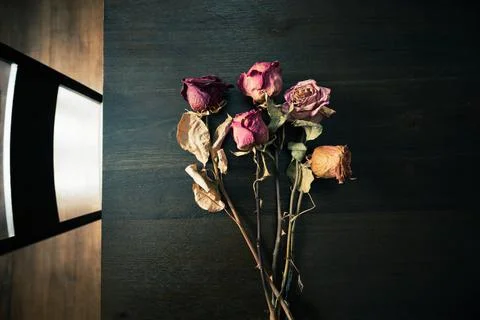 Dried roses on the table Stock Photos