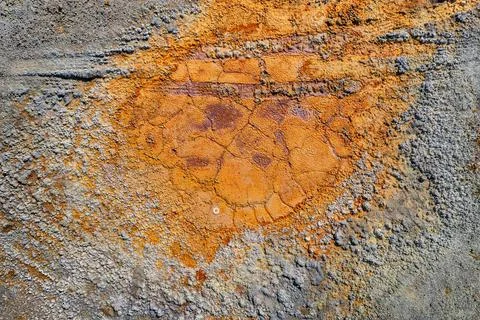 Dried rusty pool with tire tracks and rough grey contaminated land texture fr Foto stock
