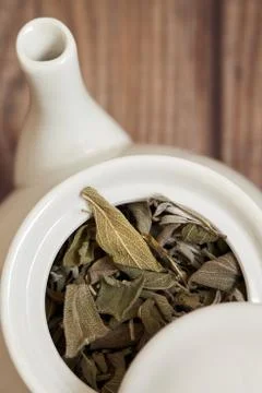 Dried sage leaves Stock Photos