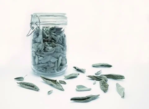 Dried sage Stock Photos