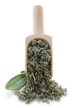 Dried Sage Foto stock