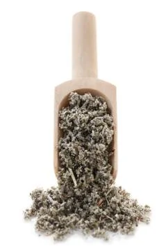 Dried Sage Stock Photos