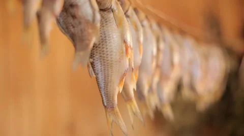 Dried salt fish 動画素材 5801291