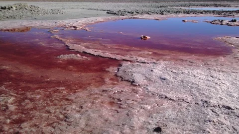 Dried salt lake Video stock 94847357