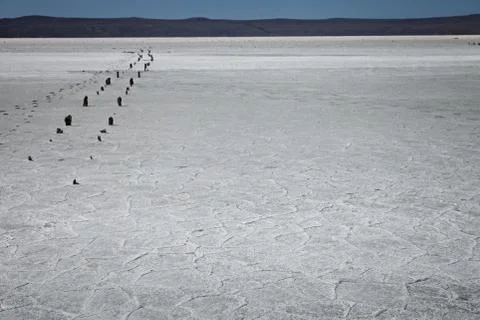 The dried salt lake Stock Photos
