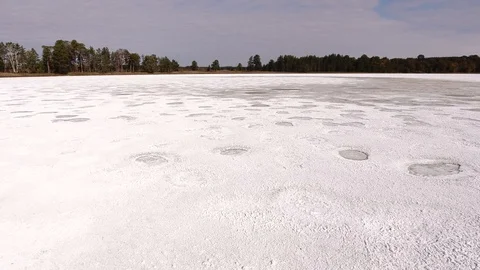 Dried salt lake surrounded by pine forest. Stock Footage 128677844