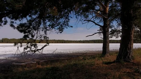 Dried salt lake surrounded by pine forest. Stock Footage 128679351