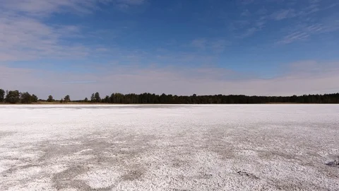 Dried salt lake surrounded by pine forest. Stock Footage 128679560