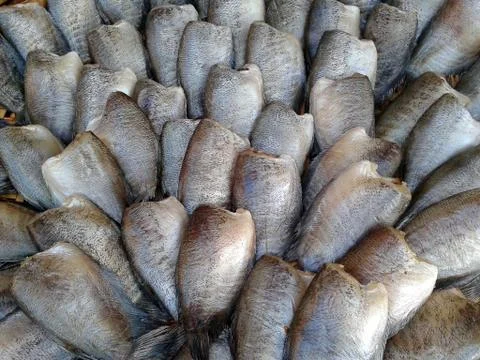 Dried salted damsel fish Stock Photos