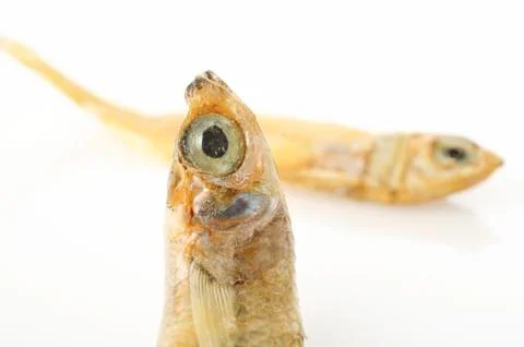 Dried salted fish Stock Photos