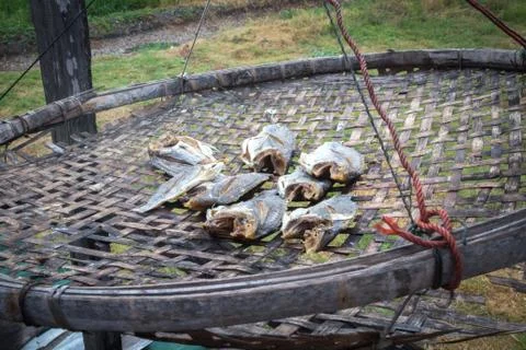 Dried salted fish Stock Photos