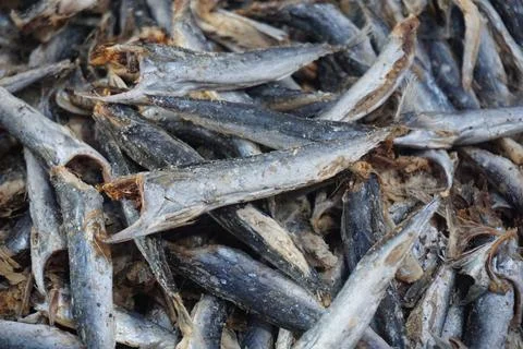 Dried salted fish Foto stock