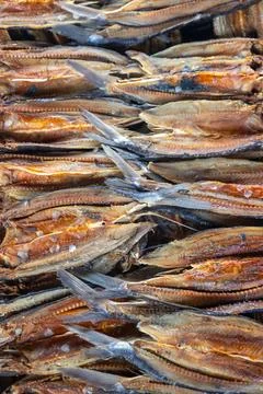 Dried salted fish stacked in rows showing preserved seafood texture and tra.. Stock Photos