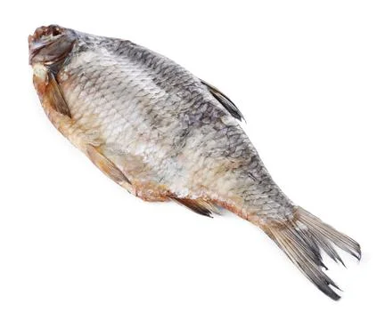 Dried salted roach fish isolated on white Stock Photos