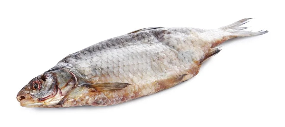 Dried salted roach fish isolated on white Stock Photos