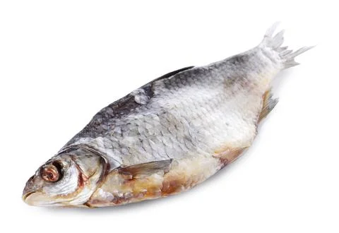 Dried salted roach fish isolated on white Stock Photos
