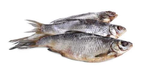 Dried salted roach fish isolated on white Stock Photos