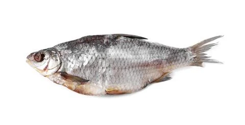 Dried salted roach fish isolated on white, top view Stock Photos