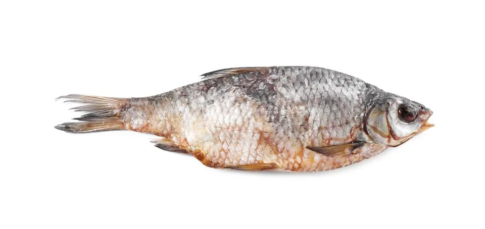 Dried salted roach fish isolated on white, top view Stock Photos