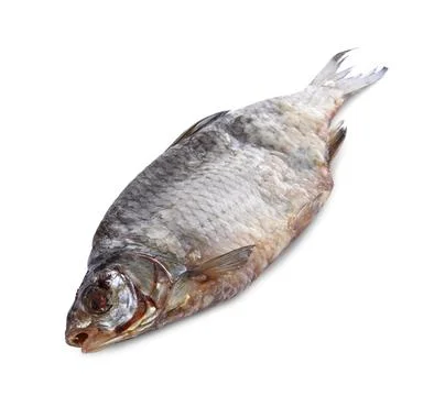 Dried salted roach fish isolated on white Stock Photos