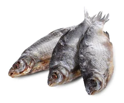 Dried salted roach fish isolated on white Stock Photos