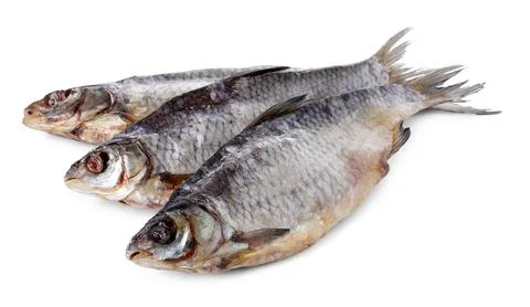Dried salted roach fish isolated on white Stock Photos