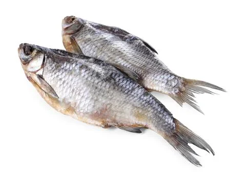 Dried salted roach fish isolated on white Stock Photos