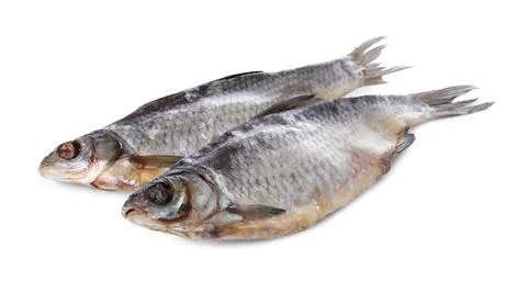 Dried salted roach fish isolated on white Stock Photos