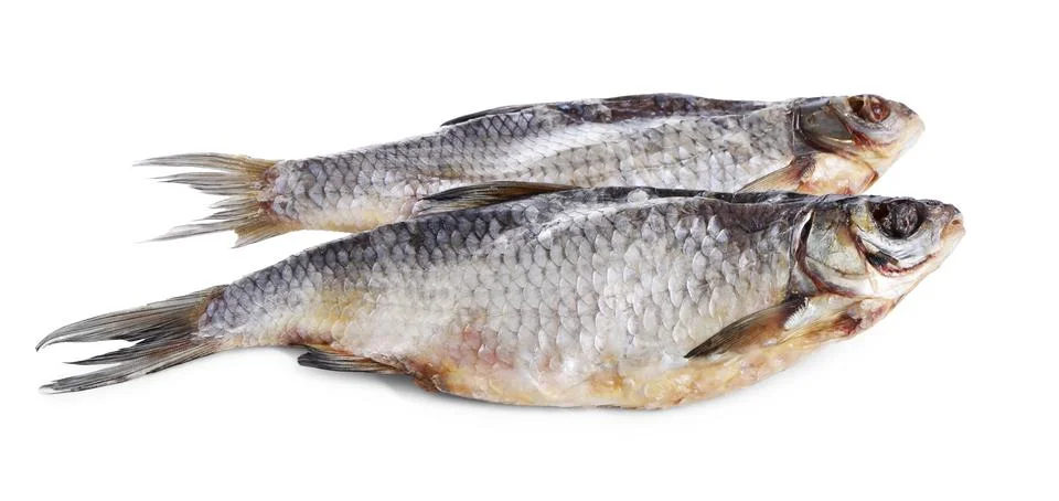 Dried salted roach fish isolated on white Stock Photos